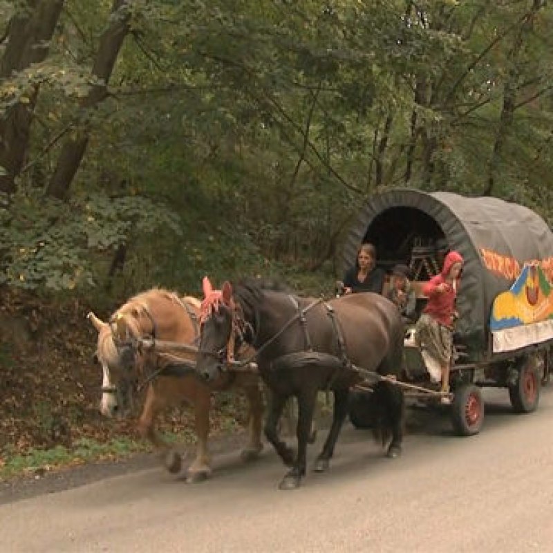 The Last Performance – Award winning documentary at the 41th Hungarian Filmweek